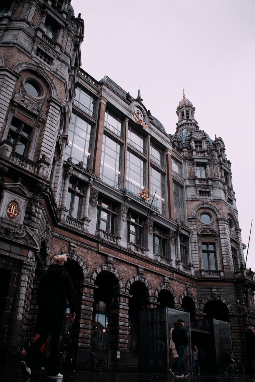 Historische Antwerpse gevel